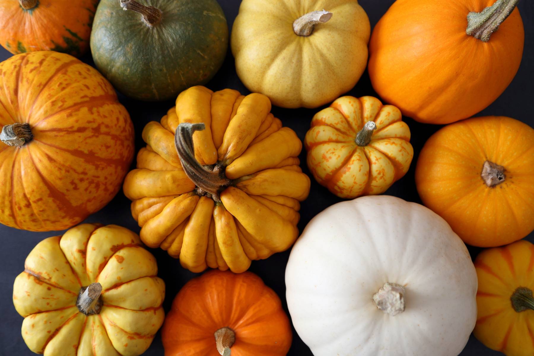 All About Growing Pumpkins Mother Earth News